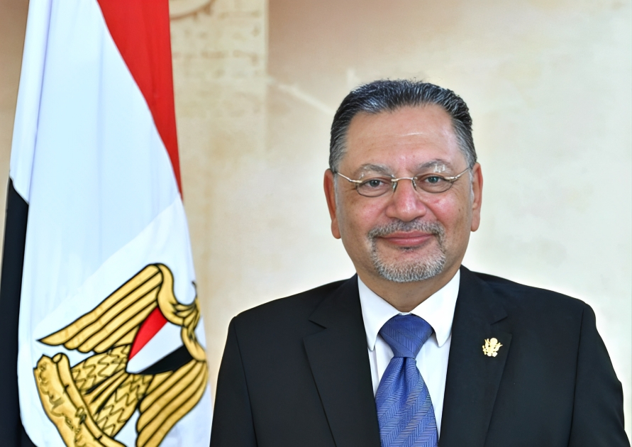 Professor. Mohammad Hussein Refaat